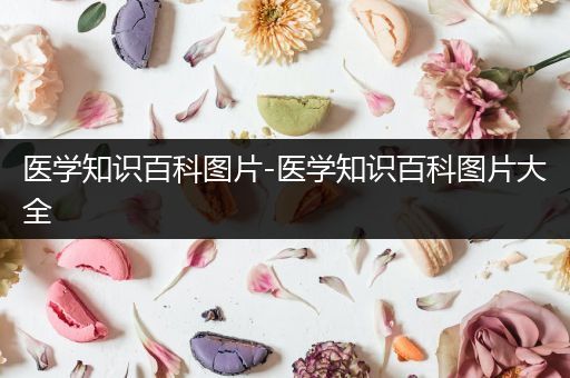 医学知识百科图片-医学知识百科图片大全