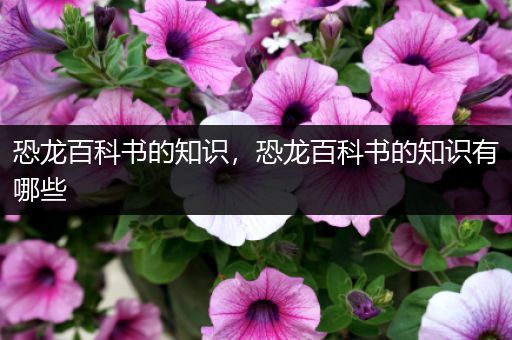 恐龙百科书的知识，恐龙百科书的知识有哪些