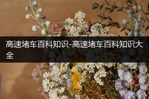 高速堵车百科知识-高速堵车百科知识大全