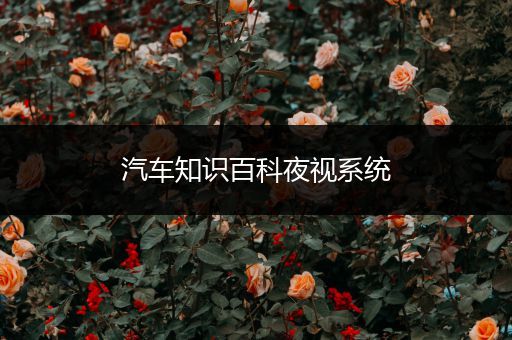汽车知识百科夜视系统