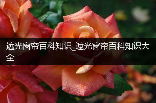 遮光窗帘百科知识_遮光窗帘百科知识大全