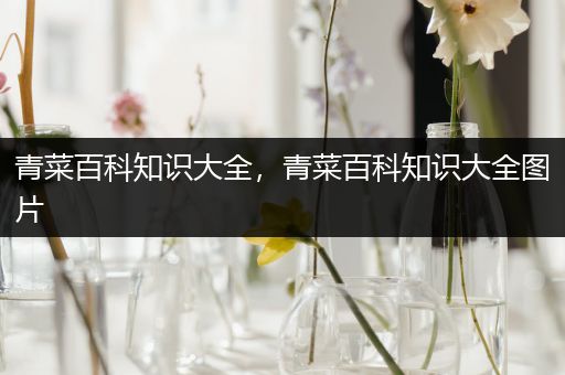 青菜百科知识大全，青菜百科知识大全图片