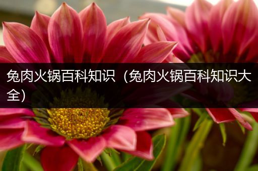 兔肉火锅百科知识（兔肉火锅百科知识大全）