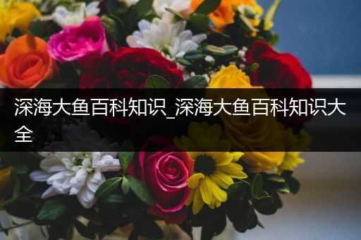 深海大鱼百科知识_深海大鱼百科知识大全