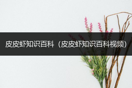 皮皮虾知识百科（皮皮虾知识百科视频）