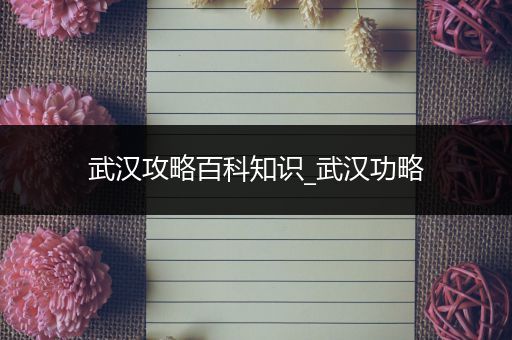 武汉攻略百科知识_武汉功略