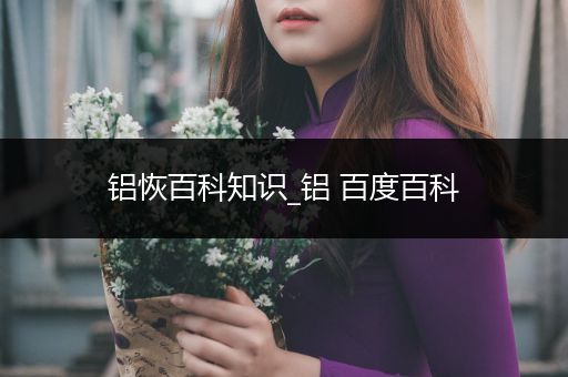 铝恢百科知识_铝 百度百科