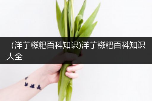 （洋芋糍粑百科知识)洋芋糍粑百科知识大全