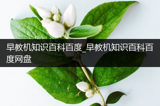 早教机知识百科百度_早教机知识百科百度网盘