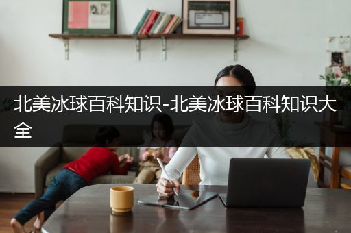 北美冰球百科知识-北美冰球百科知识大全