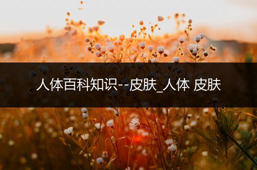 人体百科知识--皮肤_人体 皮肤
