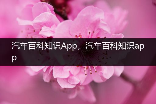 汽车百科知识App，汽车百科知识app