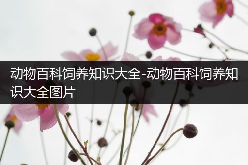 动物百科饲养知识大全-动物百科饲养知识大全图片