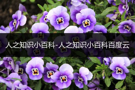人之知识小百科-人之知识小百科百度云