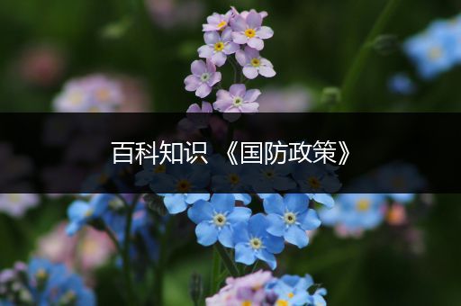 百科知识 《国防政策》