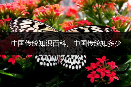 中国传统知识百科，中国传统知多少