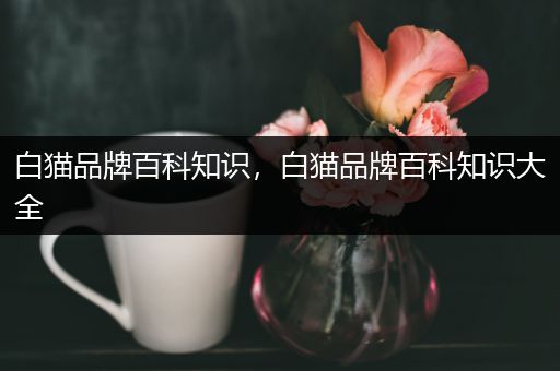白猫品牌百科知识，白猫品牌百科知识大全