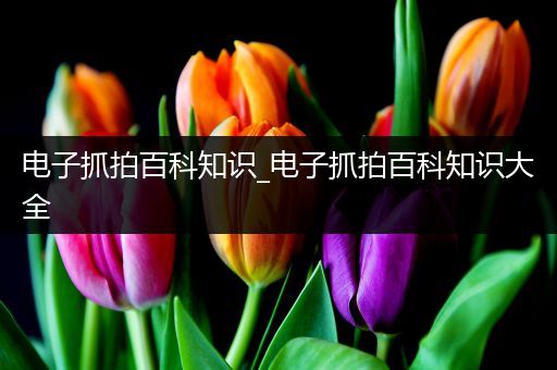 电子抓拍百科知识_电子抓拍百科知识大全