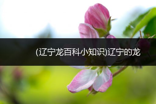（辽宁龙百科小知识)辽宁的龙