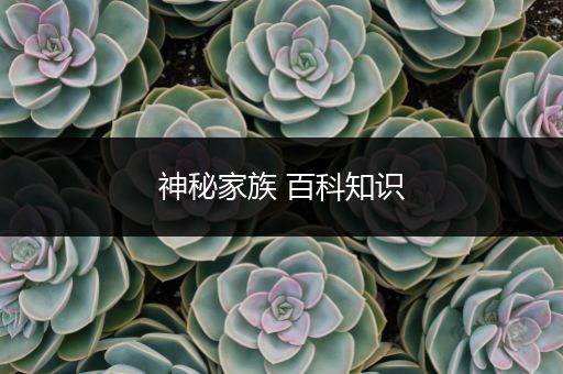 神秘家族 百科知识