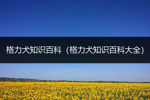 格力犬知识百科（格力犬知识百科大全）