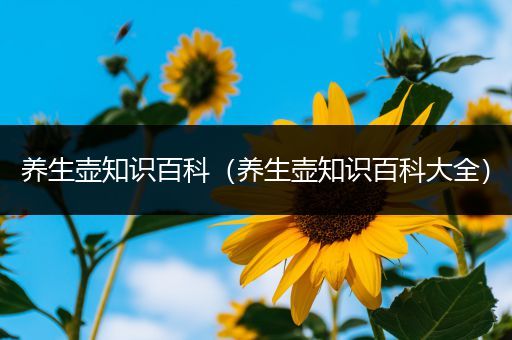 养生壶知识百科（养生壶知识百科大全）