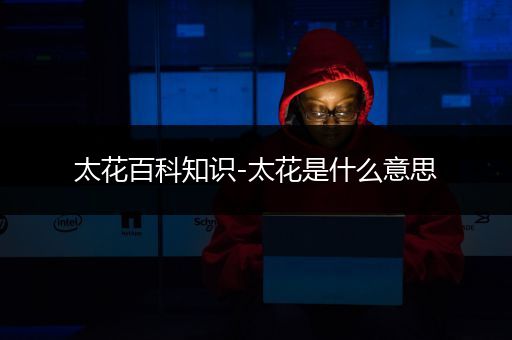 太花百科知识-太花是什么意思