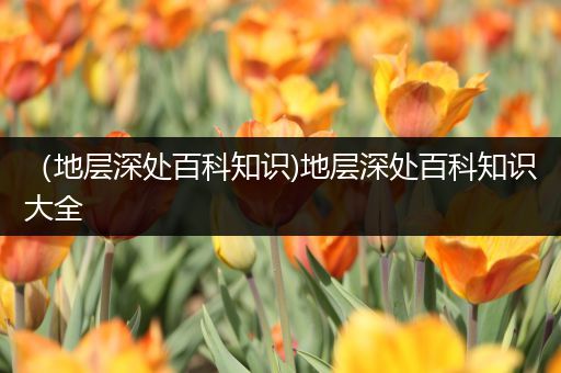 （地层深处百科知识)地层深处百科知识大全