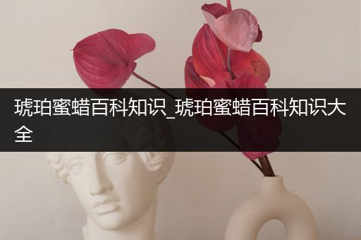 琥珀蜜蜡百科知识_琥珀蜜蜡百科知识大全