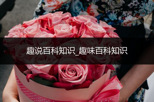 趣说百科知识_趣味百科知识