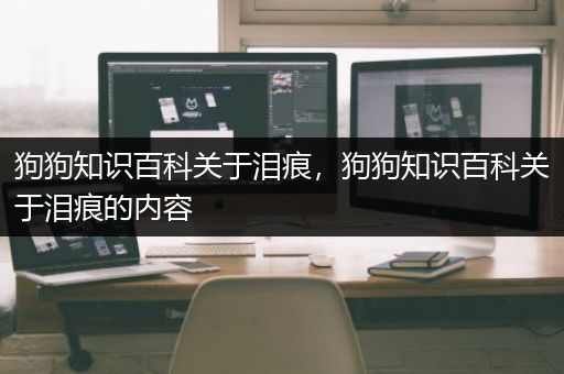 狗狗知识百科关于泪痕，狗狗知识百科关于泪痕的内容
