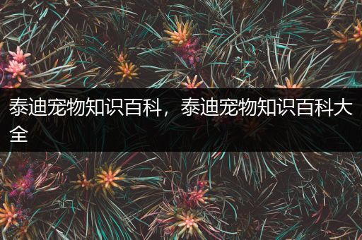 泰迪宠物知识百科，泰迪宠物知识百科大全