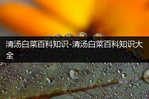 清汤白菜百科知识-清汤白菜百科知识大全