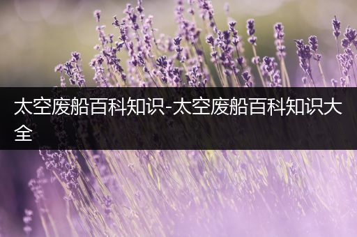 太空废船百科知识-太空废船百科知识大全
