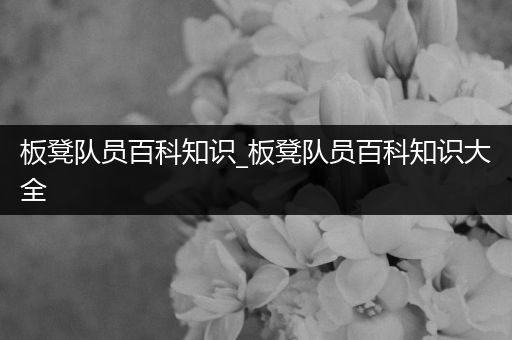 板凳队员百科知识_板凳队员百科知识大全