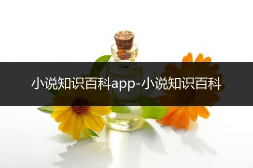 小说知识百科app-小说知识百科