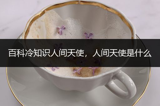 百科冷知识人间天使，人间天使是什么