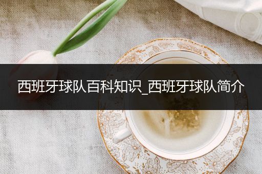 西班牙球队百科知识_西班牙球队简介