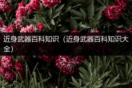 近身武器百科知识（近身武器百科知识大全）