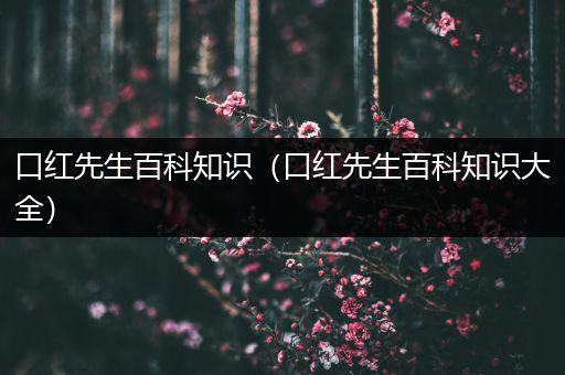 口红先生百科知识（口红先生百科知识大全）