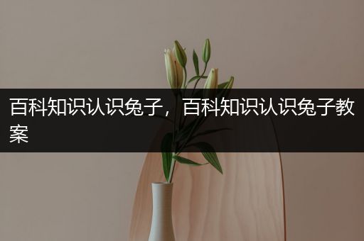 百科知识认识兔子，百科知识认识兔子教案