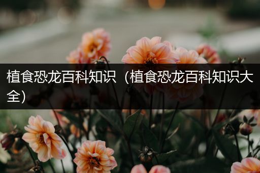 植食恐龙百科知识（植食恐龙百科知识大全）
