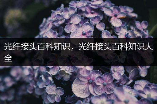 光纤接头百科知识，光纤接头百科知识大全