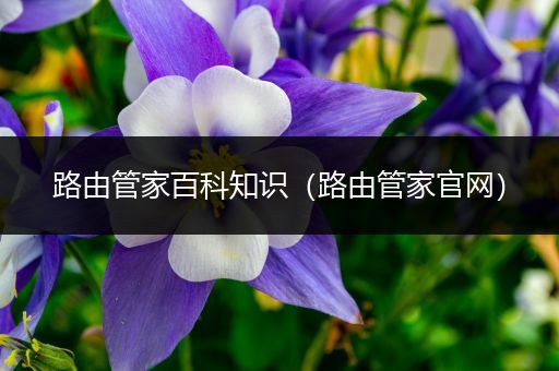 路由管家百科知识（路由管家官网）