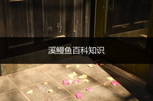 溪鳗鱼百科知识