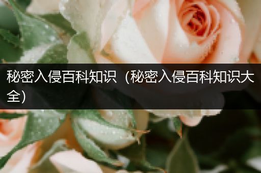 秘密入侵百科知识（秘密入侵百科知识大全）
