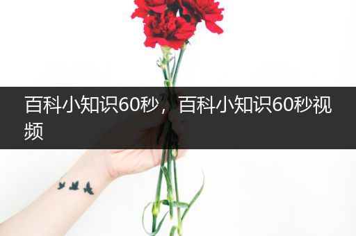 百科小知识60秒，百科小知识60秒视频