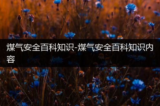煤气安全百科知识-煤气安全百科知识内容