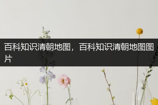 百科知识清朝地图，百科知识清朝地图图片