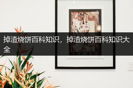 掉渣烧饼百科知识，掉渣烧饼百科知识大全